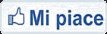 videovicenza_2021001002.jpg