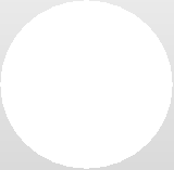 videovicenza_2021005013.gif